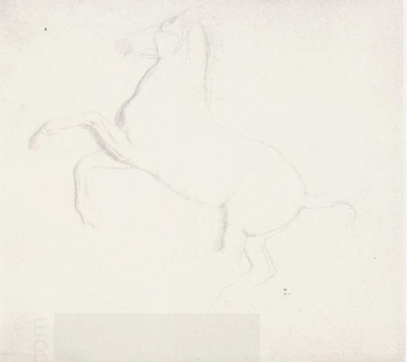 Edgar Degas Study of a Horse from the Parthenon Frieze oil painting picture